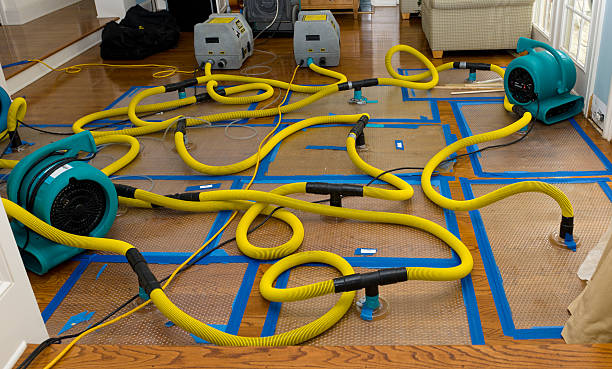 Professional Basement Flood Cleanup technician working in La Veta, CO